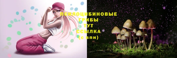 амф Елабуга