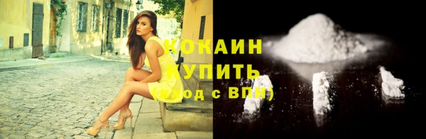 прущий лед Ельня