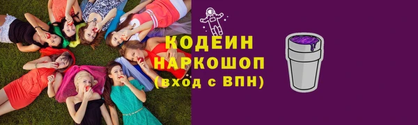 прущий лед Ельня