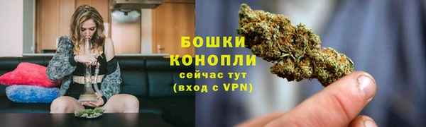 амф Елабуга