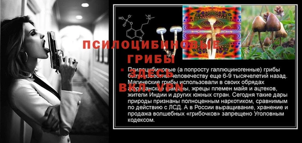амф Елабуга