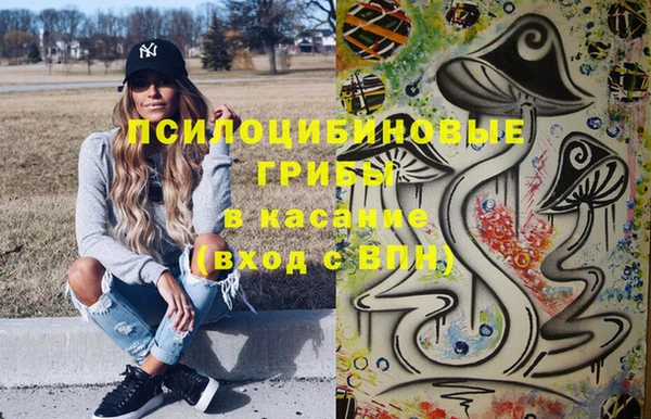 прущий лед Ельня